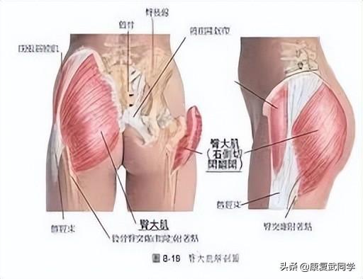 胳膊肌肉拉伤怎么快速恢复(胳膊肌肉轻微拉伤怎么快速恢复)