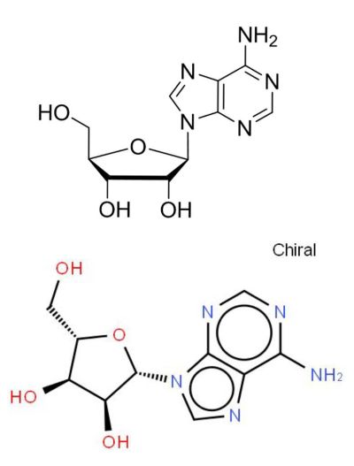 胸苷是两性物质吗(胸苷是什么)