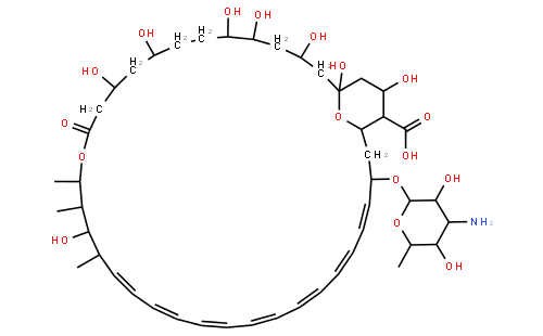 两性霉素的制备分离(两性霉素a与b的结构区别)
