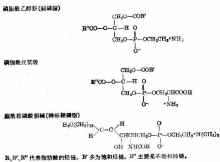 碳酸氢根离子的两性(碳酸氢根离子的酸性)