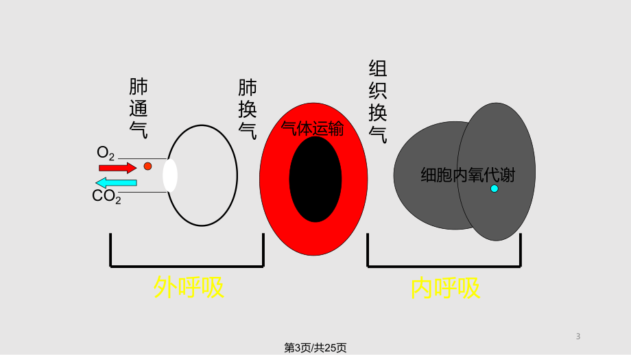 呼吸衰竭的护理(呼吸衰竭的护理诊断)