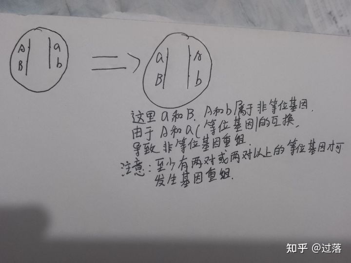 单体生殖和两性生殖优劣(子宫最多能承受几次生育)