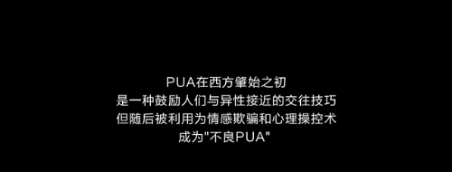 pua两性游戏(关于pua的游戏)