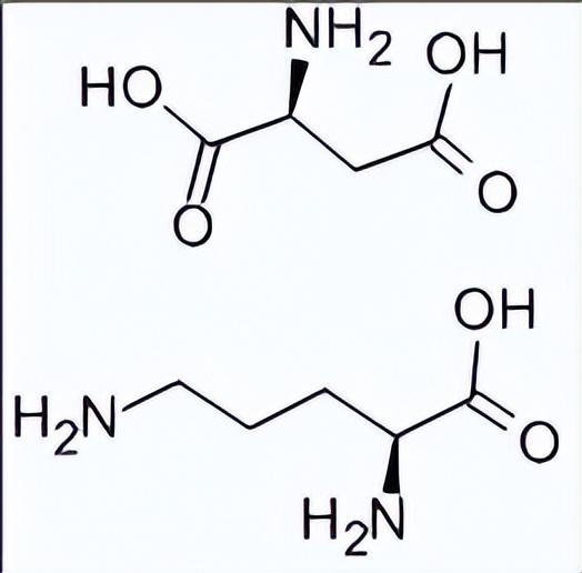 天门冬氨酸(天门冬氨酸氨基转移酶)