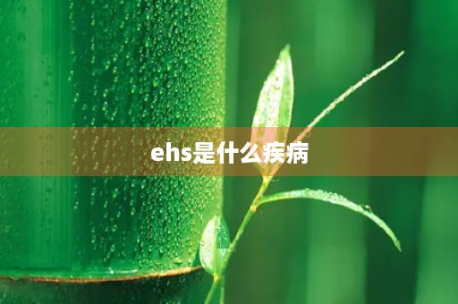 ehs是什么疾病