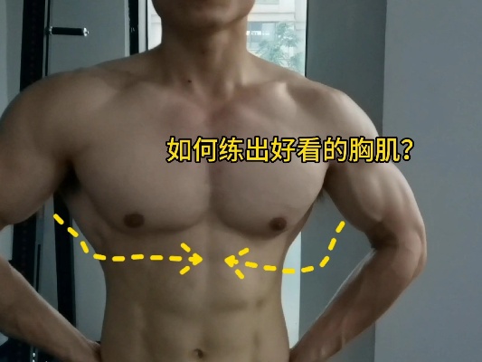 男人的胸肌肌肉视频的简单介绍