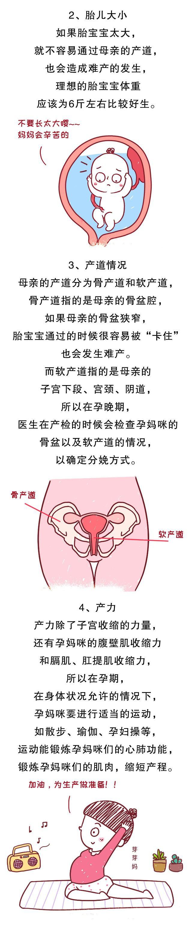 前壁和后壁男女调查(前壁后壁可以分男女吗)