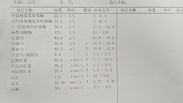 转氨酶正常值范围(谷草转氨酶正常值范围)