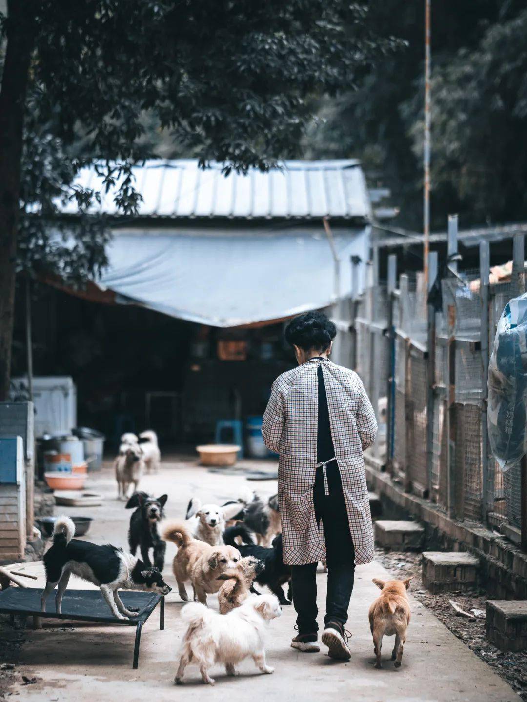 我需要男人日批(我需要的男人什么样)