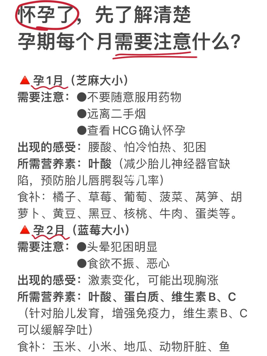 初期怀孕注意事项(怀孕初期的注意事项及饮食注意)