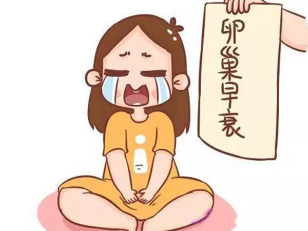 女人的月经周期(女人的月经周期怎么算)