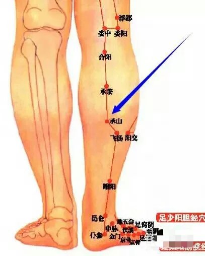 绝骨(绝骨的准确位置图和作用)